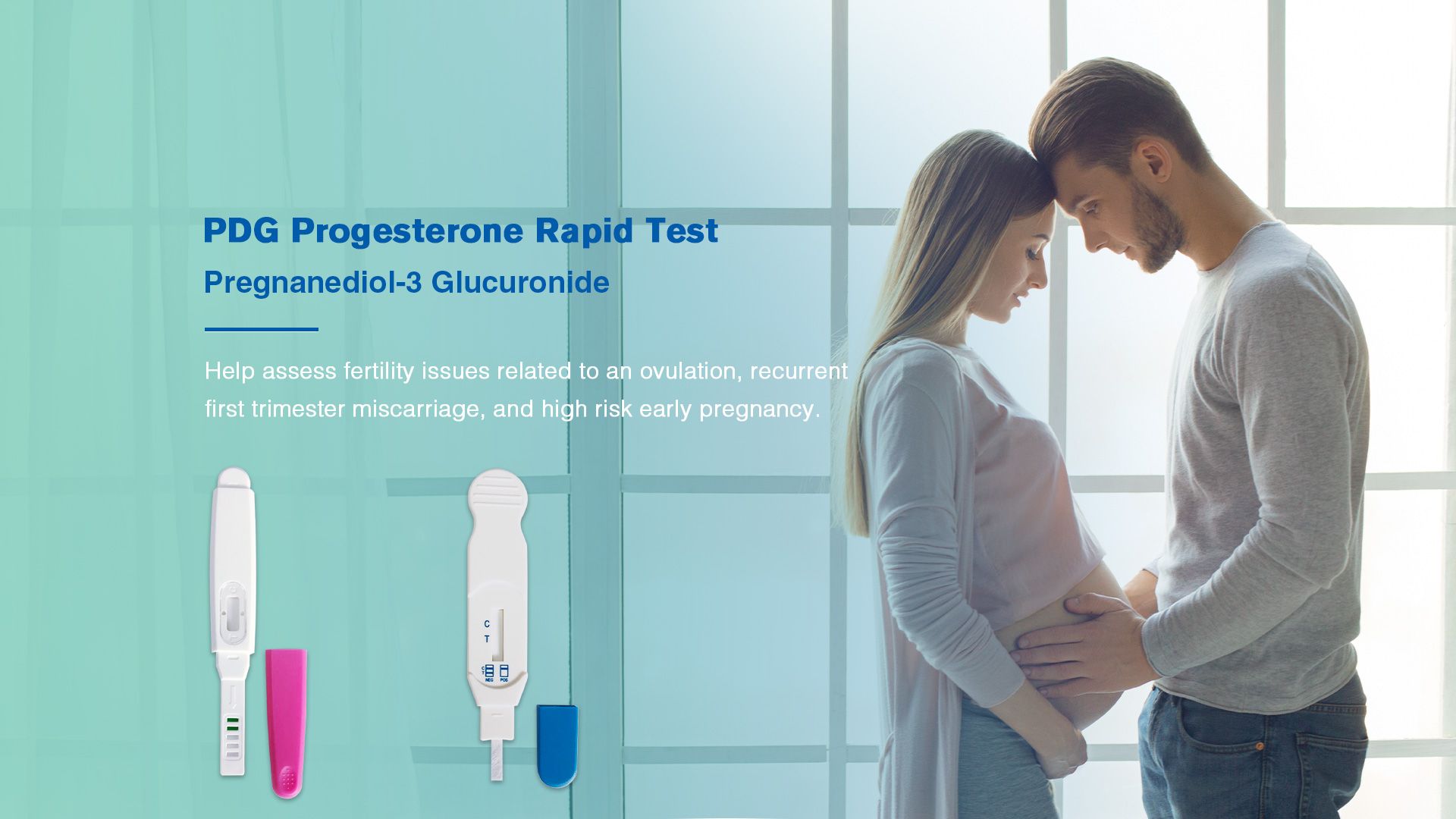 PDG Progestterone Rapid Test