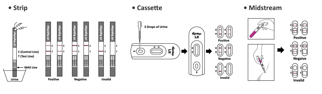 LH Ovulation Rapid Tests